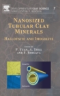 Image for Nanosized tubular clay minerals  : halloysite and imogolite