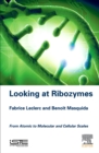 Image for Looking at ribozymes  : from atomic to molecular and cellular scales
