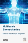 Image for Multiscale biomechanics