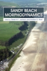 Image for Sandy Beach Morphodynamics