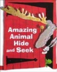 Image for Amazing Animal Hide and Seek