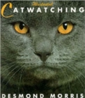 Image for Illustrated catwatching