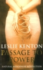 Image for Passage to power  : natural menopause revolution