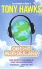 Image for One hit wonderland