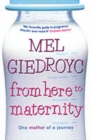 Image for From here to maternity