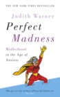 Image for Perfect madness  : motherhood in the age of anxiety