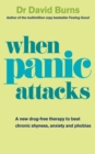 Image for When panic attacks  : a new drug-free therapy to beat chronic shyness, anxiety and phobias