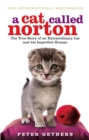 Image for A cat called Norton  : the true story of an extraordinary cat and his imperfect human