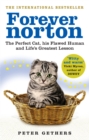 Image for Forever Norton  : the perfect cat, his flawed human and life&#39;s greatest lesson
