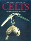 Image for The Ancient World of the Celts
