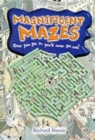 Image for Magnificent mazes  : once you get in, you&#39;ll never get out!