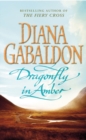 Image for Dragonfly In Amber