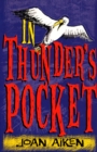 Image for In Thunder&#39;s Pocket