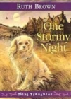 Image for One Stormy Night