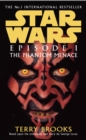Image for Star Wars episode 1  : the phantom menace