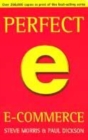 Image for Perfect e-commerce  : all you need to get it right first time