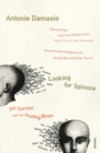 Image for Looking for Spinoza  : joy, sorrow, and the feeling brain