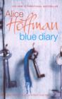 Image for Blue Diary