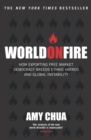 Image for World on fire  : how exporting free market democracy breeds ethnic hatred and global instability