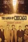 Image for The gangs of Chicago  : an informal history of the Chicago underworld