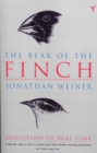 Image for The Beak Of The Finch