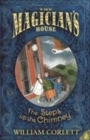 Image for The steps up the chimney  : being the first book of The magician&#39;s house