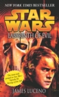 Image for Labyrinth of evil