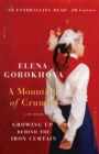 Image for A Mountain of Crumbs