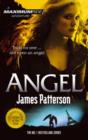 Image for Maximum Ride: Angel