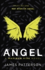 Image for Angel: A Maximum Ride Novel