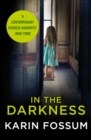 Image for In the Darkness