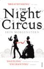 Image for The night circus  : a novel