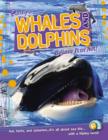 Image for Whales and Dolphins (Ripley&#39;s Believe it or Not!)