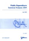 Image for Public expenditure statistical analyses 2004