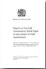 Image for Report on the child maintenance White Paper