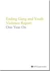 Image for Ending gang and youth violence report