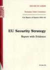 Image for EU security strategy