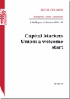 Image for Capital Markets Union
