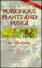 Image for Poisonous plants and fungi in Britain