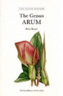 Image for The genus Arum