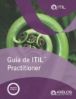 Image for ITIL Practitioner Guidance
