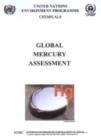 Image for Global Mecury Assessment