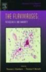 Image for The flaviviruses: Pathogenesis and immunity : Volume 60