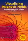 Image for Visualising Magnetic Fields