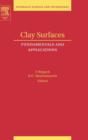 Image for Clay surfaces  : fundamentals and applications : Volume 1