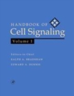 Image for Handbook of cell signaling