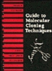 Image for Guide to Molecular Cloning Techniques