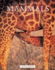 Image for Encyclopedia of mammals