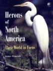Image for Herons of North America