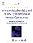 Image for Handbook of Immunohistochemistry and in Situ Hybridization of Human Carcinomas
